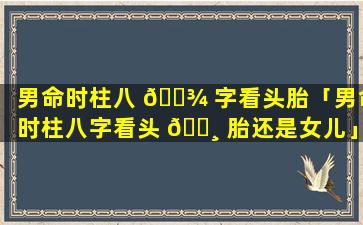 男命时柱八 🌾 字看头胎「男命时柱八字看头 🕸 胎还是女儿」